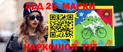 гашик Кулебаки