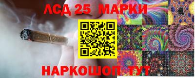 гашик Кулебаки