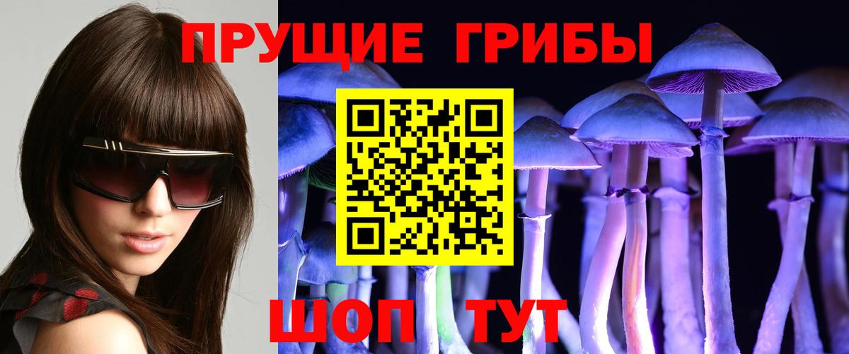 Галлюциногенные грибы Magic Shrooms Добрянка